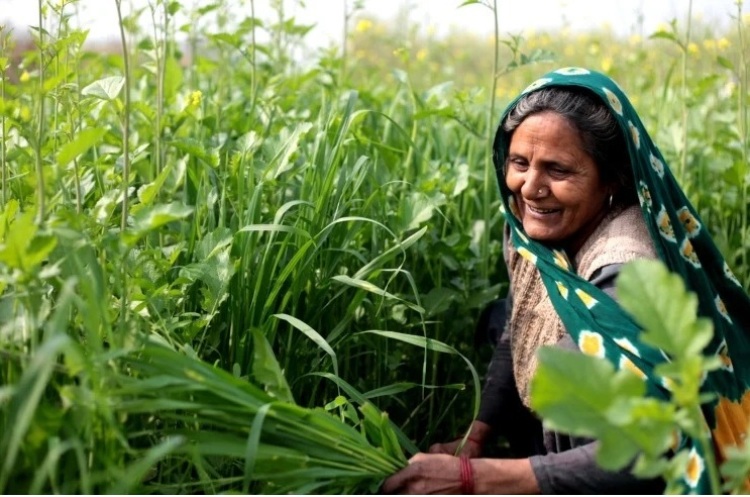 Sustainable Prosperity: How Local Opportunities and Fair Wages Can Curb Migration and Revitalize Rural Economies